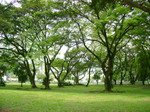 botanical-garden