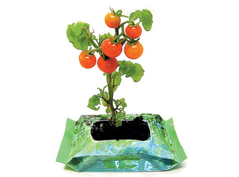 育てる楽しみがある植物ノベルティ
