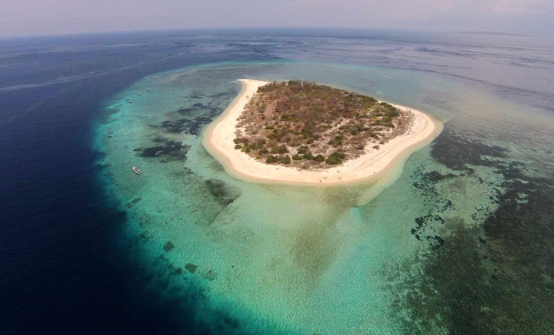 空撮・水中ドローン撮影